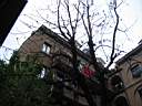Milano 046.jpg